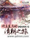 菜鸟修仙